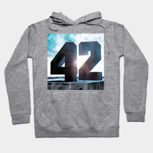 42 Hoodie